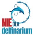 Nie dla delfinarium
